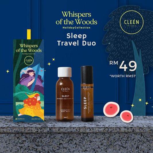 Sleep Travel Duo